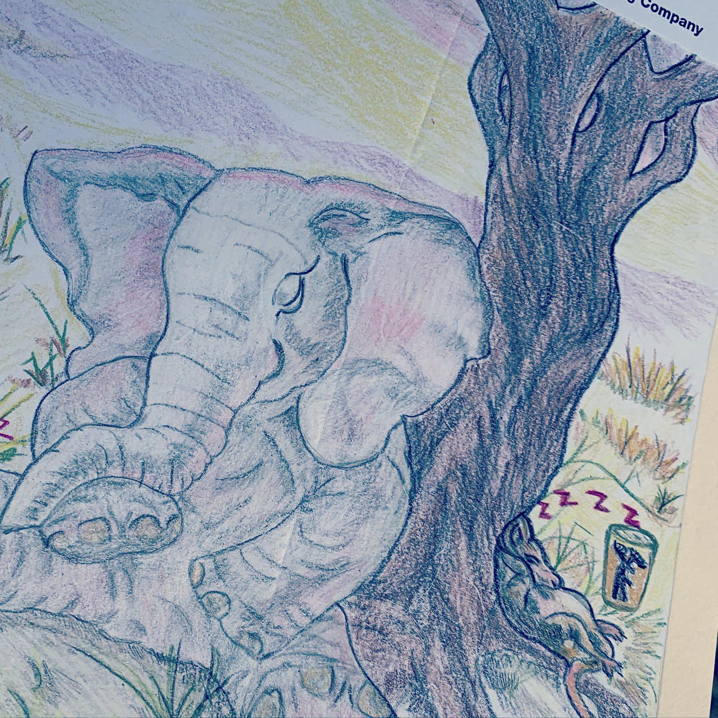 Drawing