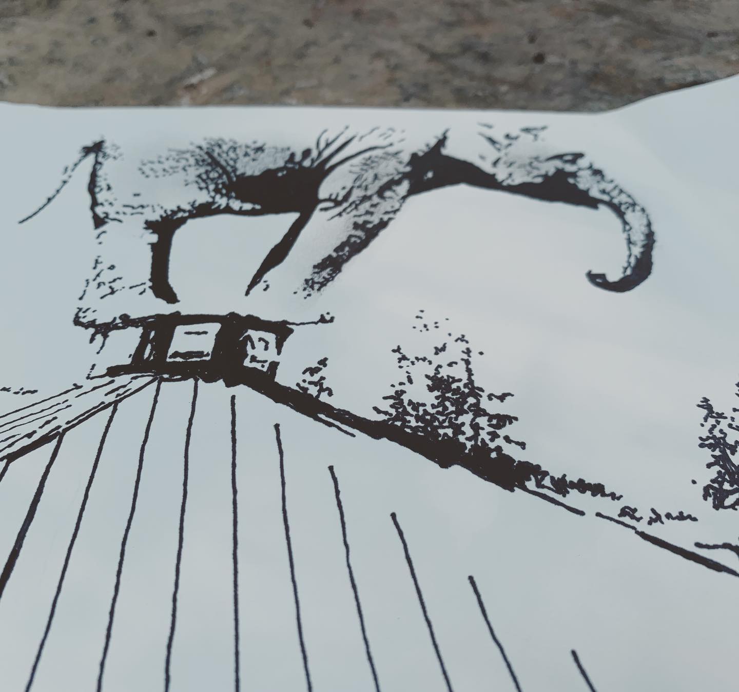 Drawing