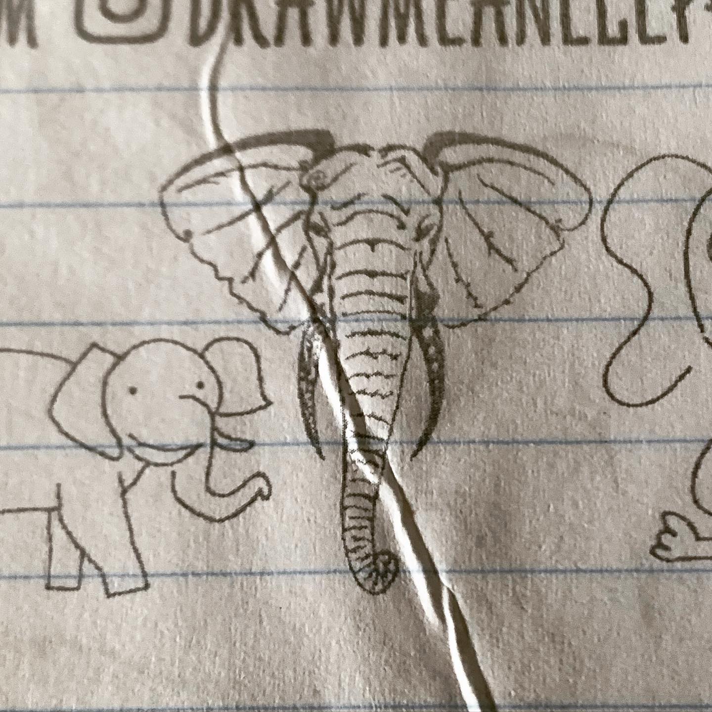 Drawing