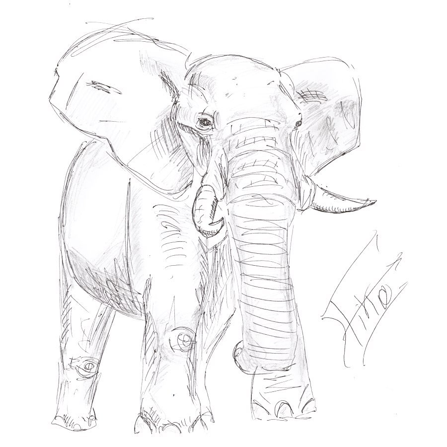 Drawing