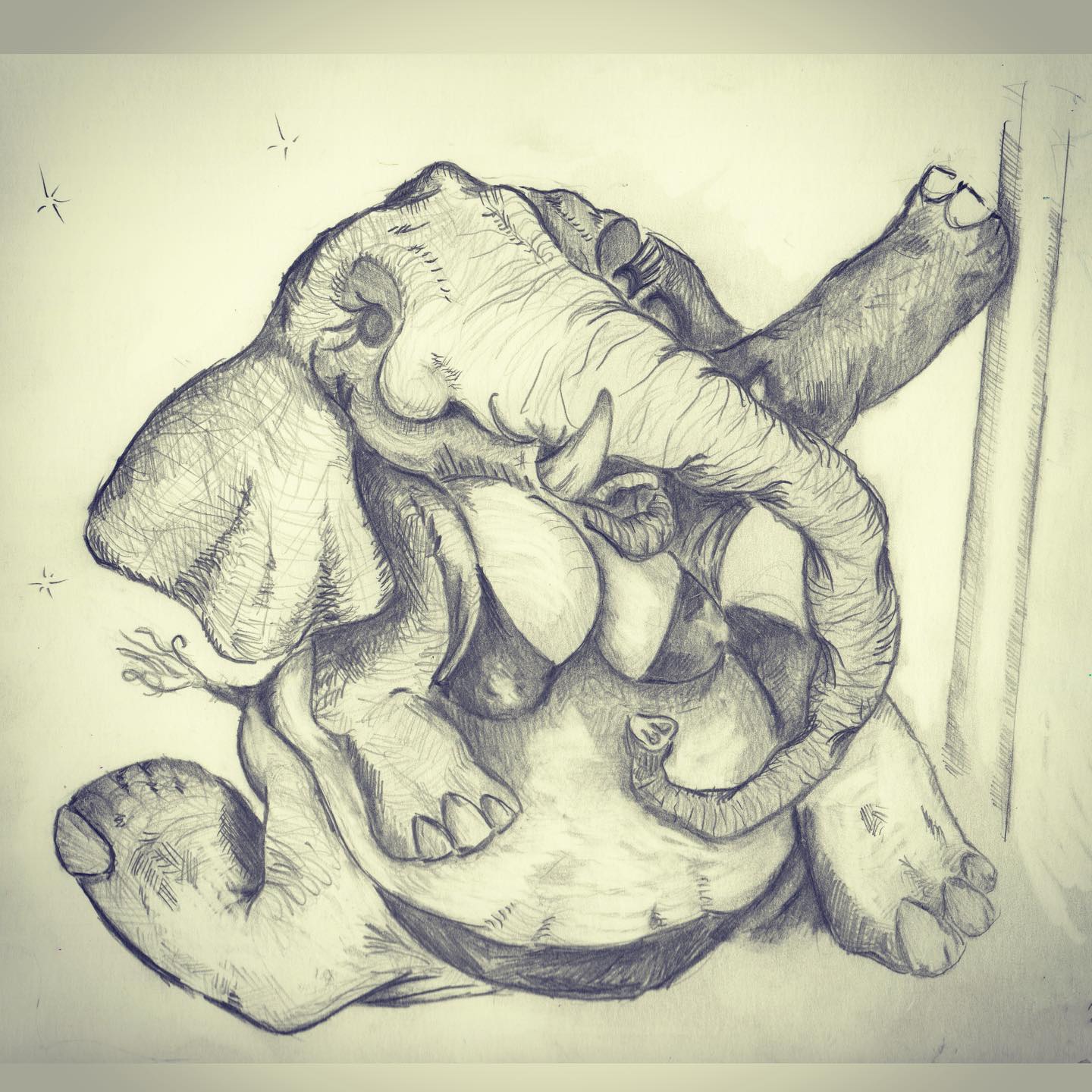 Drawing