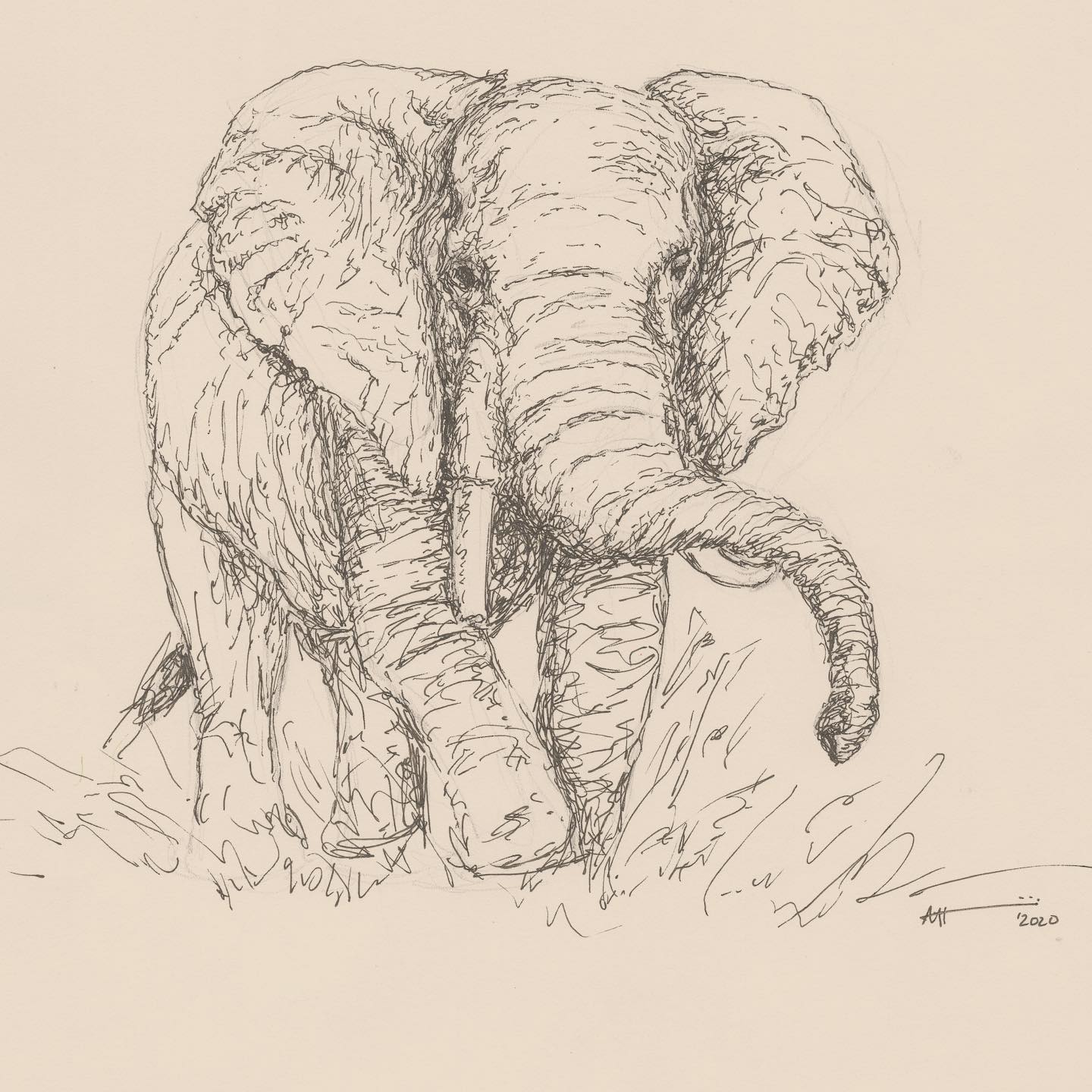 Drawing