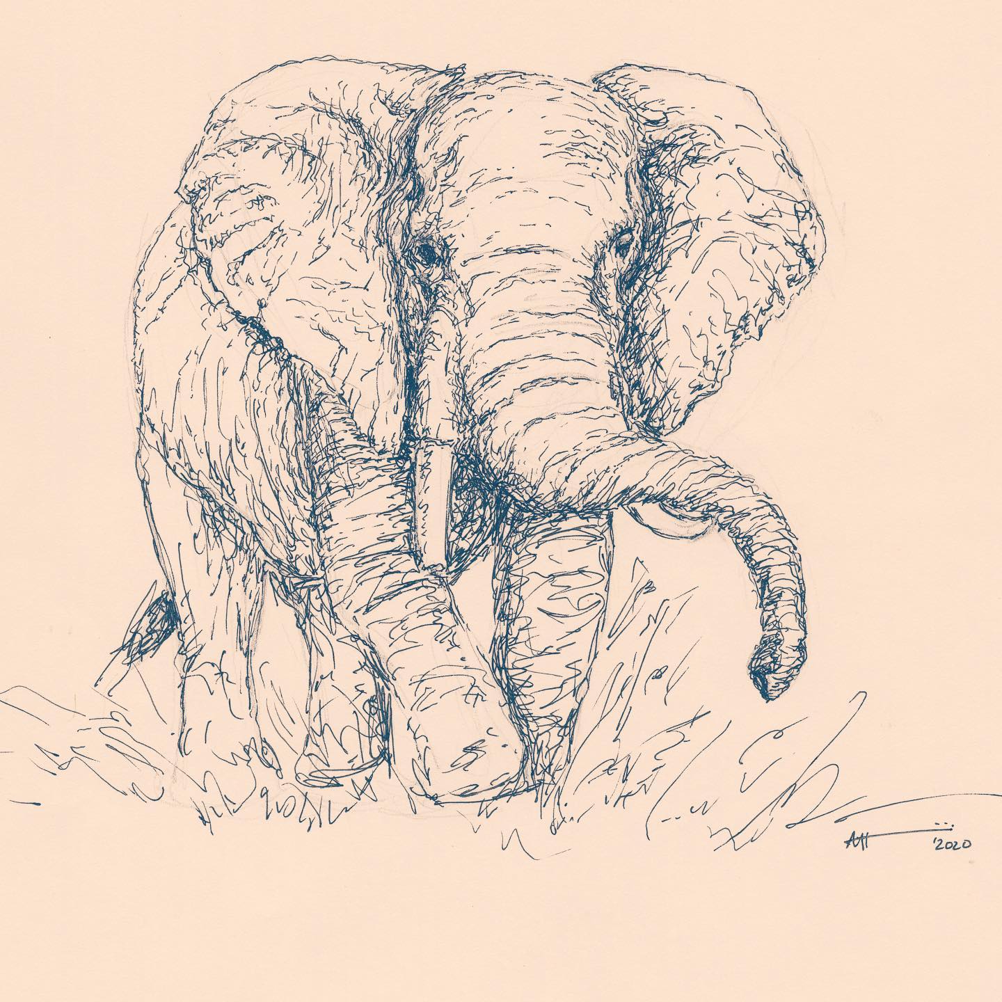 Drawing