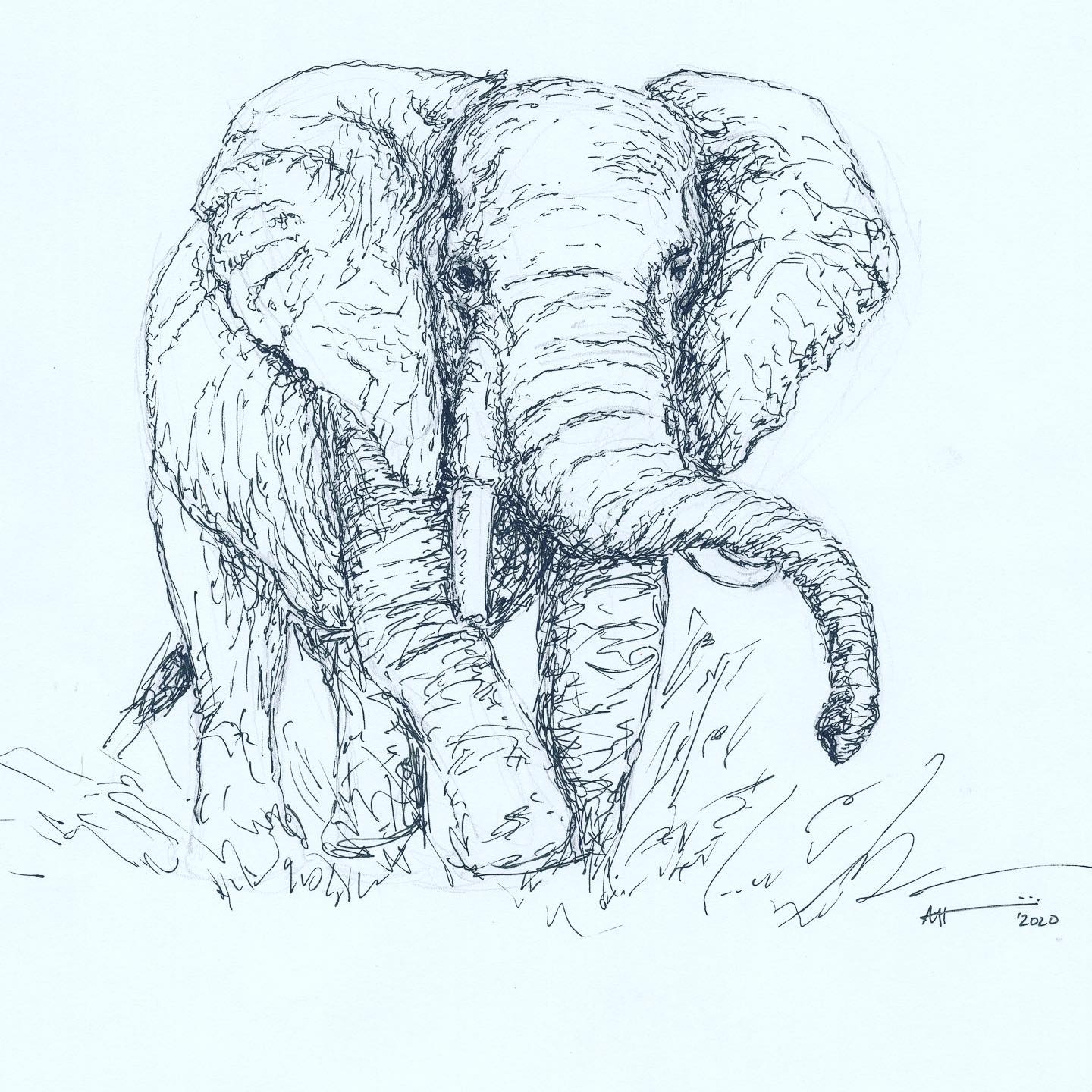 Drawing