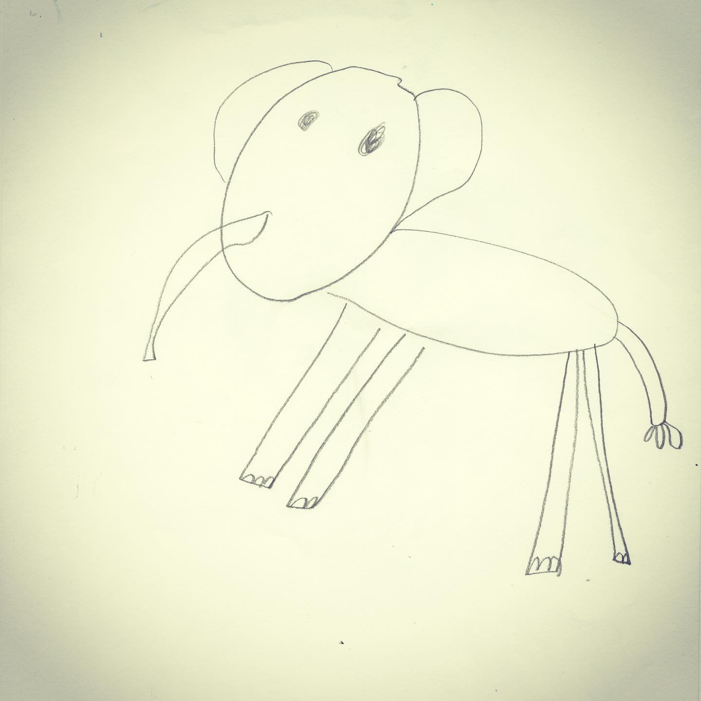 Drawing