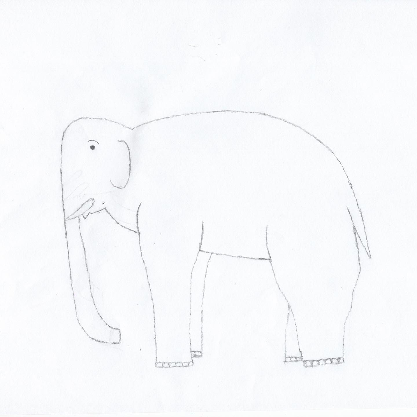 Drawing