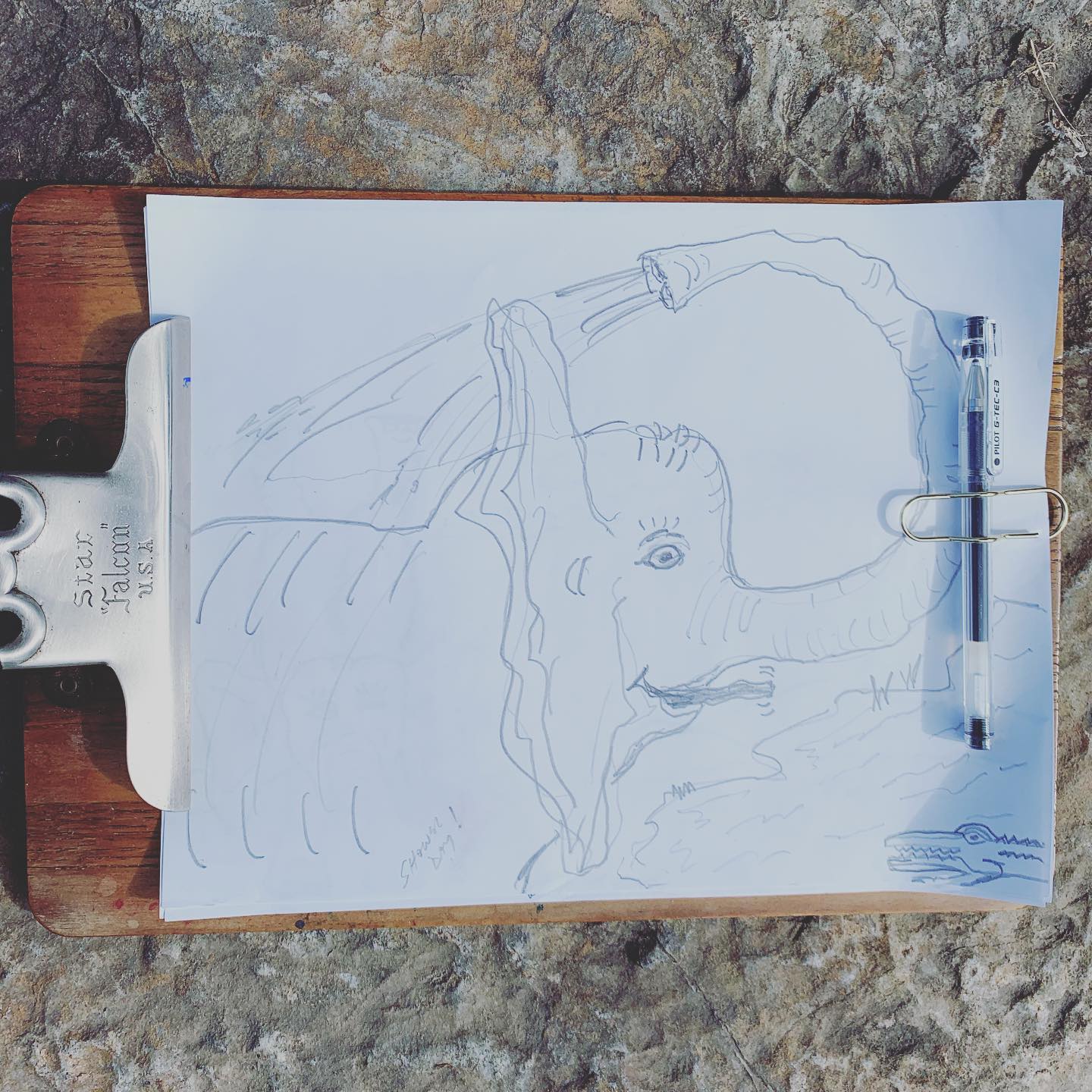Drawing