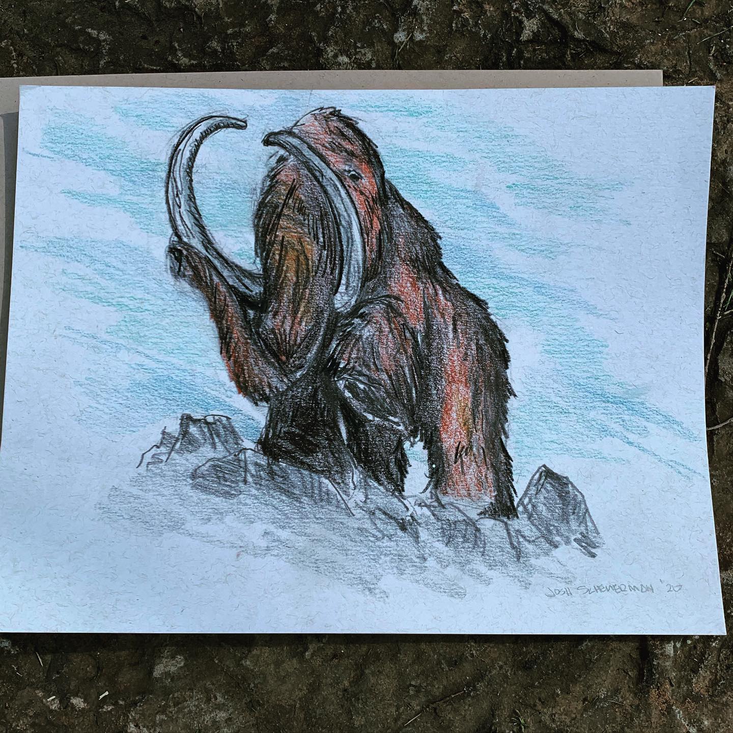Drawing
