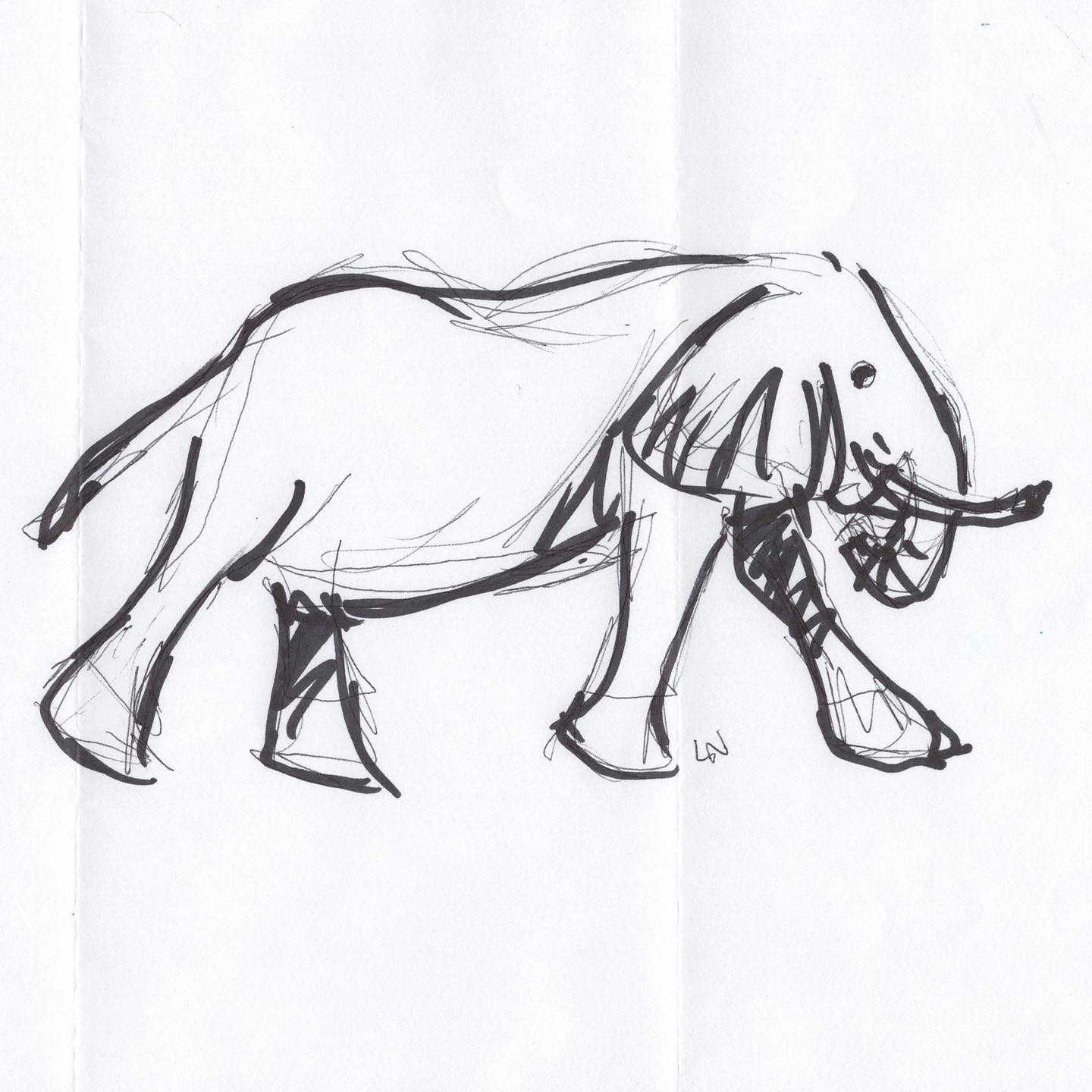 Drawing