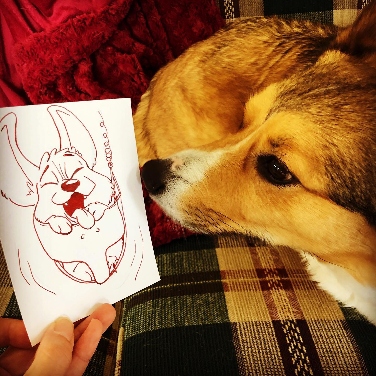 Drawing